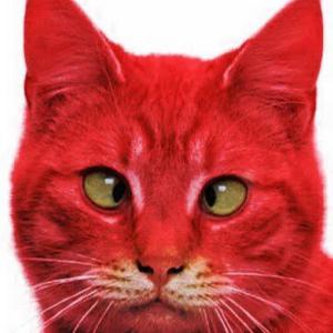 Red_Cat